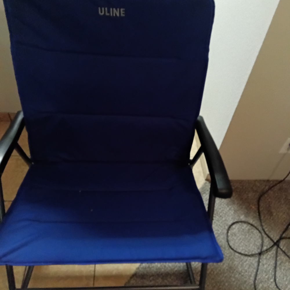 Modern Blue Chair with High Back and Metal Frame